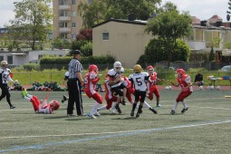 Wieder Platz zwei für Cougars U13