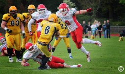 Cougars fordern Revanche gegen Elmshorn